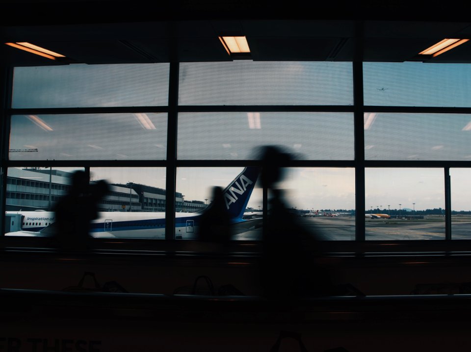 Changi airport singapore, Singapore, Indie vibes