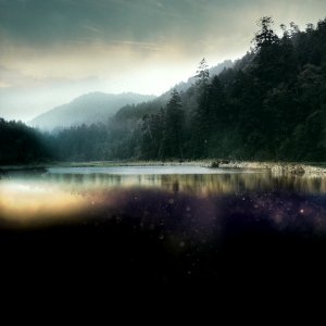 Forest, Dark, Lake photo