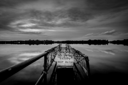 grayscale photography of dock far from trees