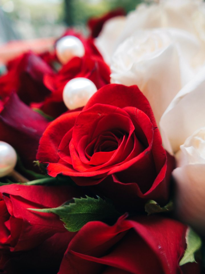 Boquet, Bokeh, Flowers