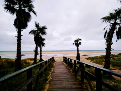 Spain, Tarifa, Alusia