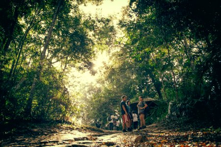 Khao yai national park, Na hin lat, Thail photo