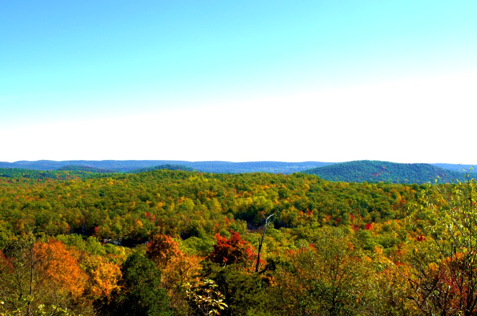 Norvin green state forest, Bloomingdale, United states