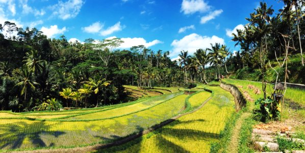 Bali, Indonesia photo