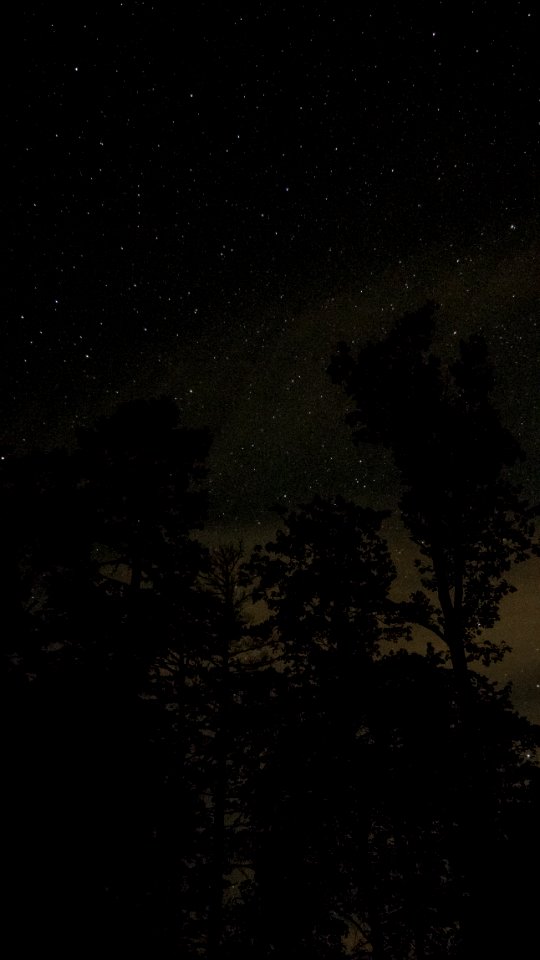 Look up, Sky, Night