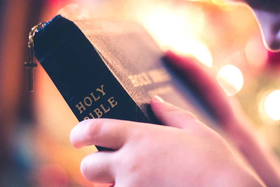 A person holding the Holy Bible. photo