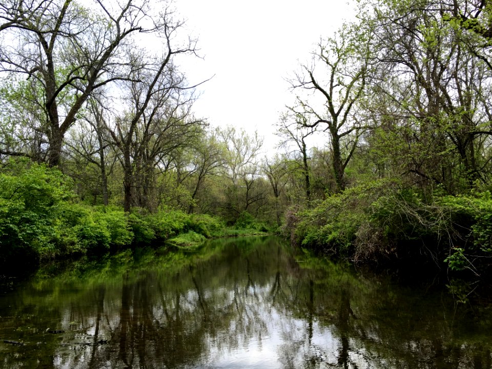 Olathe, Kansas, United states