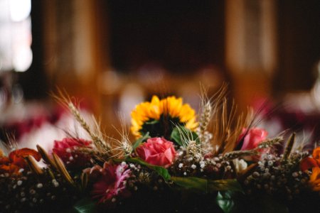 yellow and pink flowers on black table photo