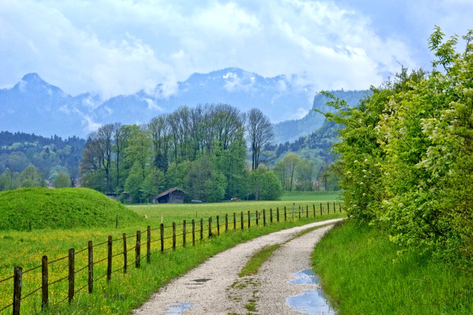 Hiking pasture fence lane photo