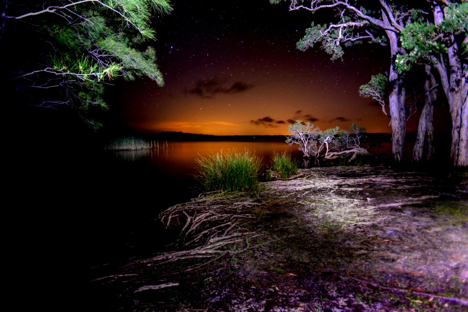 White tree bay camping, Picnic area, Mungo brush