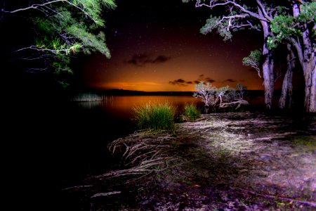 White tree bay camping, Picnic area, Mungo brush