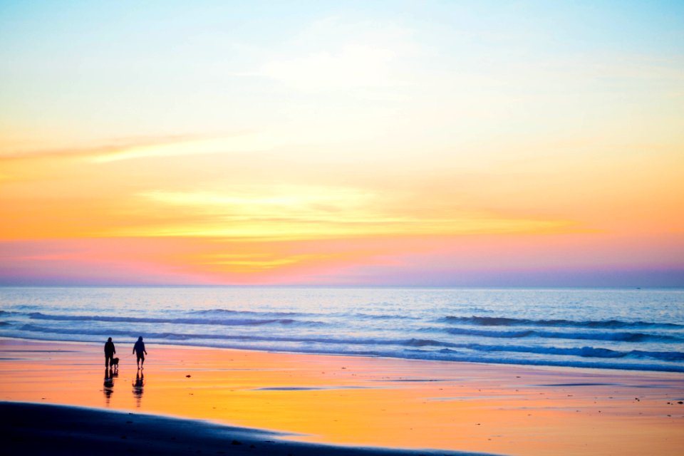 people walking near seashore during daytime