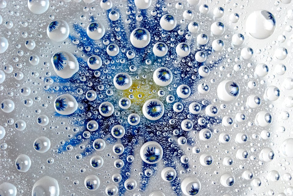Droplets, Water, Flower