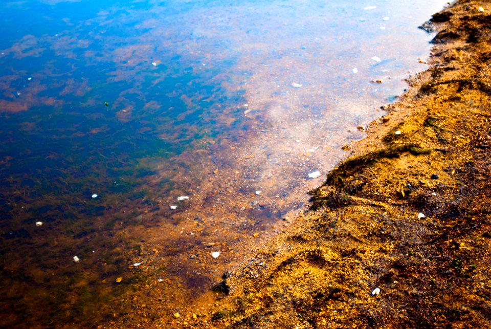 Color, Beach, Water