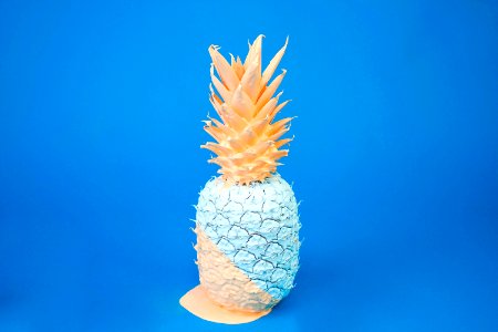 teal and orange pineapple decor