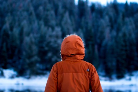 shallow focus photography of person facing trees photo