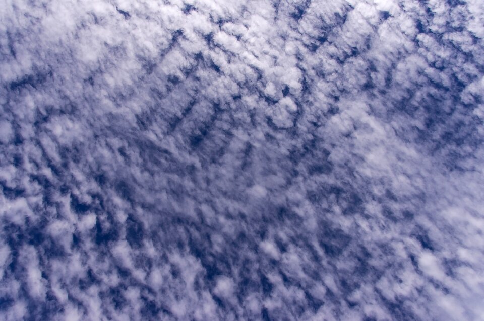 White pattern australia