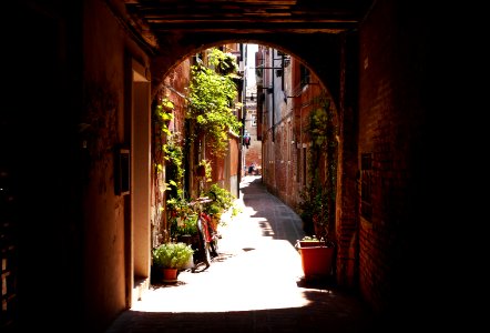 Venice, Italy, Veneto photo