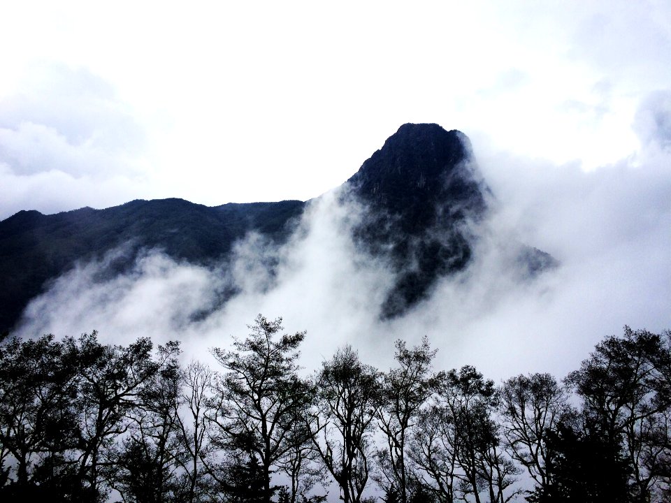 Valle del cocora, Colombia, Cloud