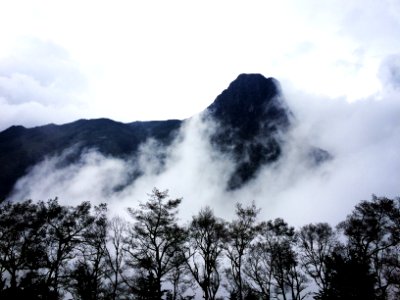 Valle del cocora, Colombia, Cloud
