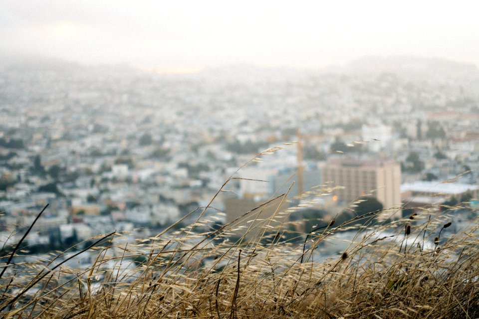 San francisco, United states, City
