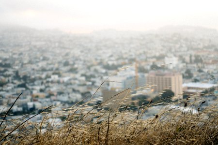 San francisco, United states, City