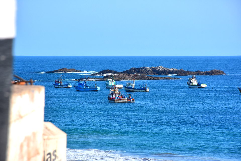 Caman province, Peru, Costa