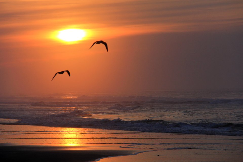 Wildwood, United states, Ocean