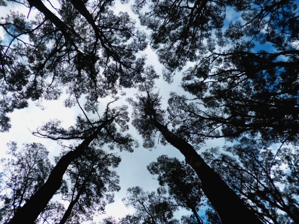 Australia, Olinda, Sky