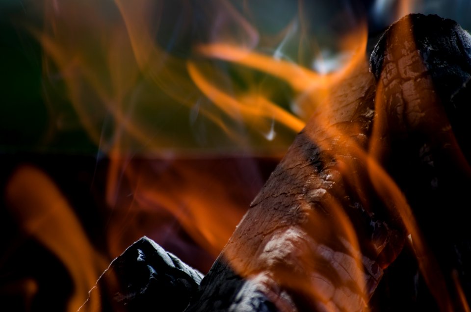 closeup photo of burned firewood