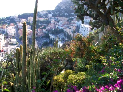 Zrich, Switzerl, Jardin exotique