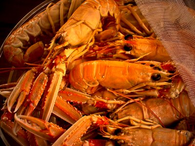 Seafood crayfish restaurant