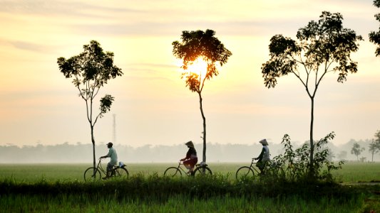 three person riding bikes on green grass field