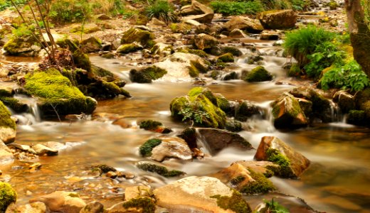 Ineada longoz ormanlar milli park ziyareti merkez, Turkey, Ineada