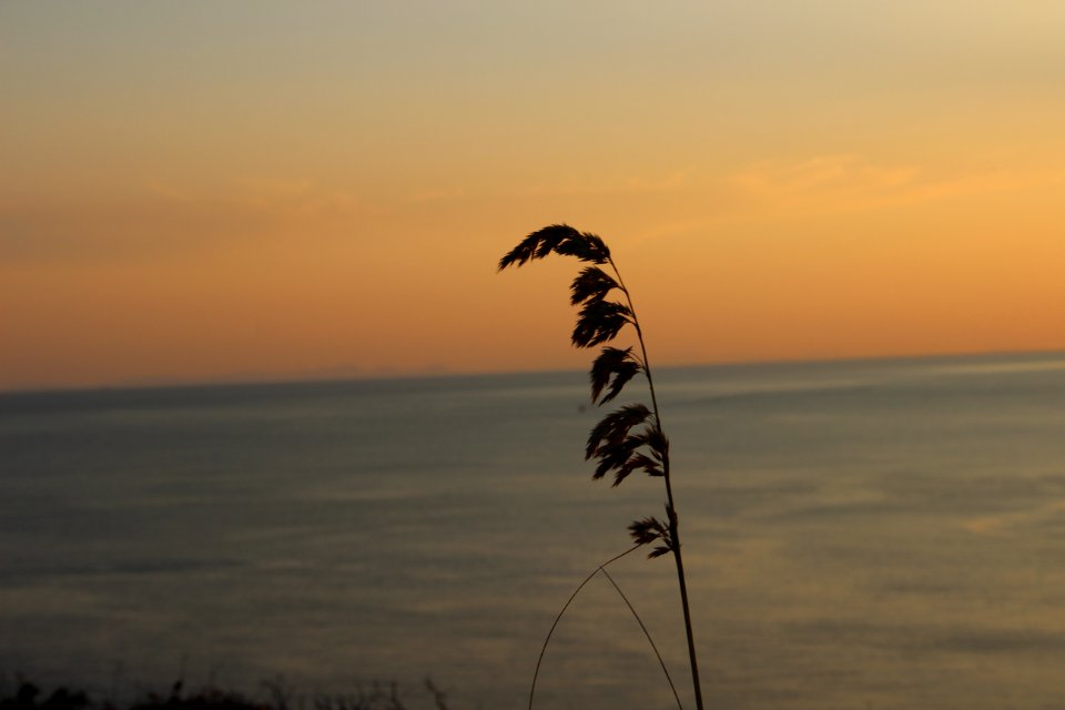 Ocean view, Ocean, Sun