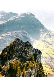 black and white rugged mountain with green leafed trees at daytime