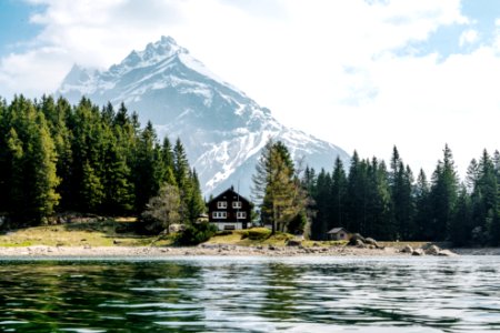 black painted house in the middle of the trees