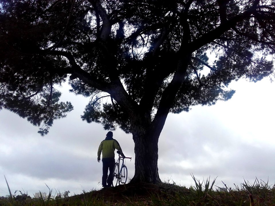 Lisbon, Portugal, Bicycle