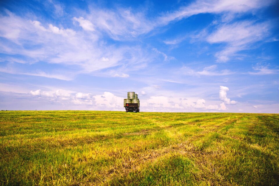Grass grassland landscape
