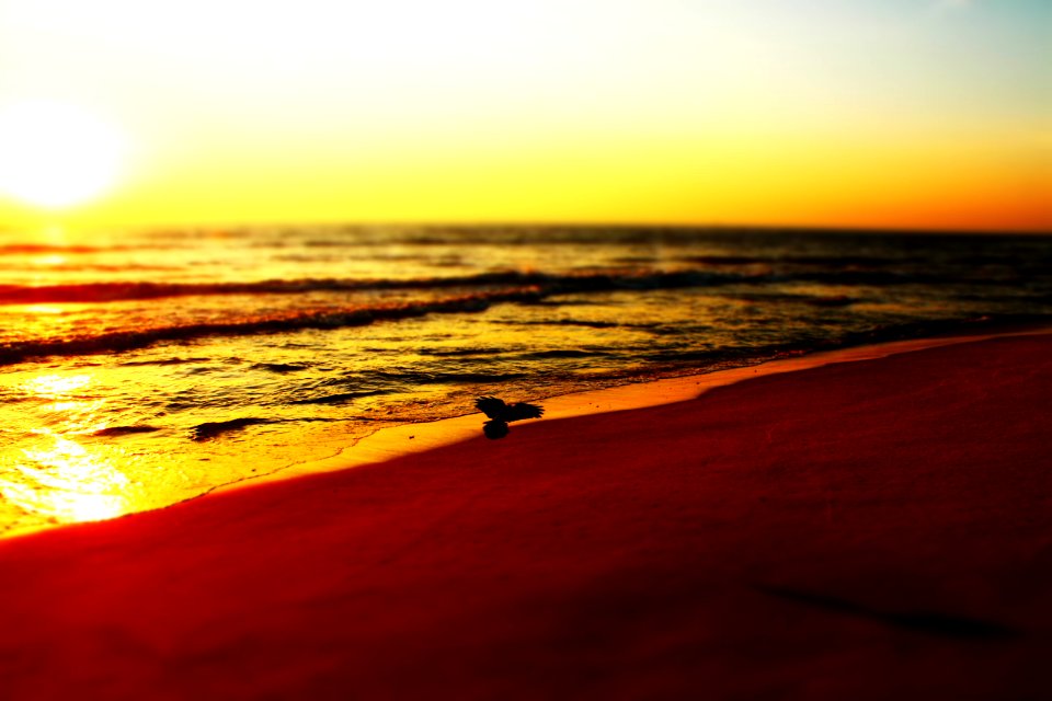Tannirbhavi beach, Mangaluru, India