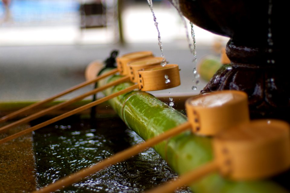 Tokyo, Giappone, Bambu photo