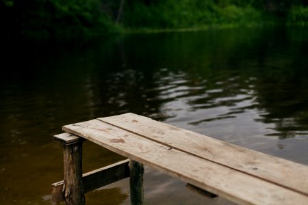 Water, Lake, Forest
