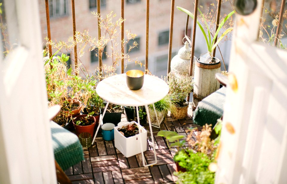 garden on terrace during daytime