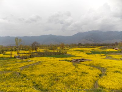 Kashmir car rental, Srinagar, India