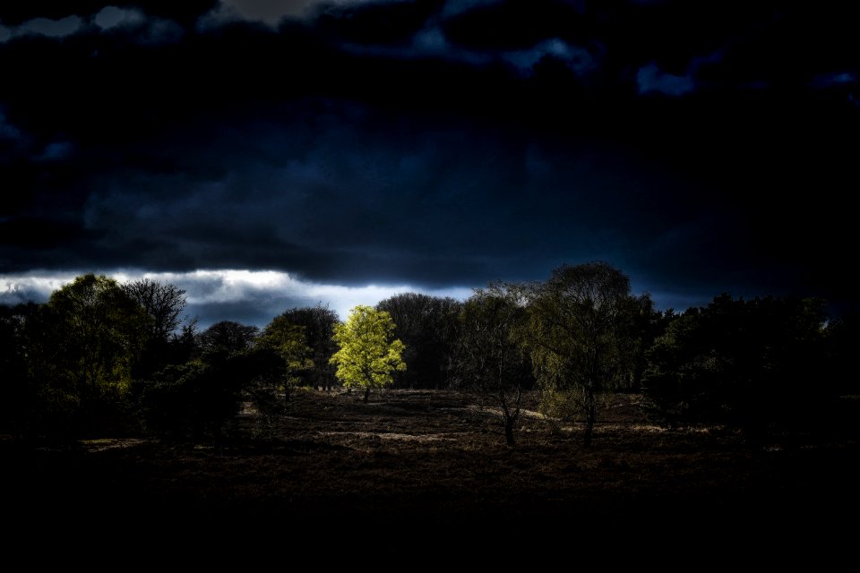 green trees under blue and dark sky