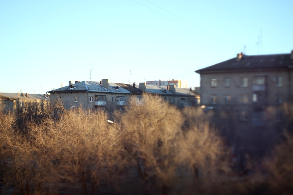 Early spring, Trees, City