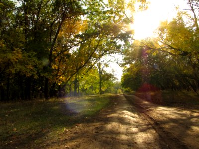 Dirt road, Sun, Autumn