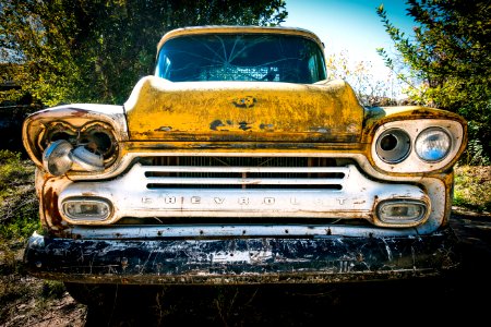 vintage Chevrolet car on forest photo