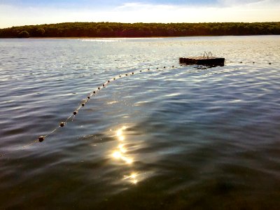 Reflections, Beautiful, Water