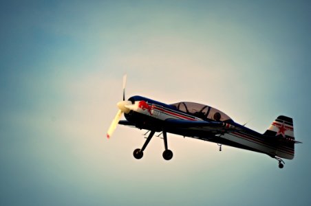 photo of Red Bull print plane